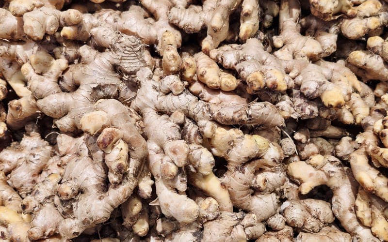Tas de racines de gingembre frais